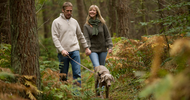 man and woman walking dog at Hamsterley Forest